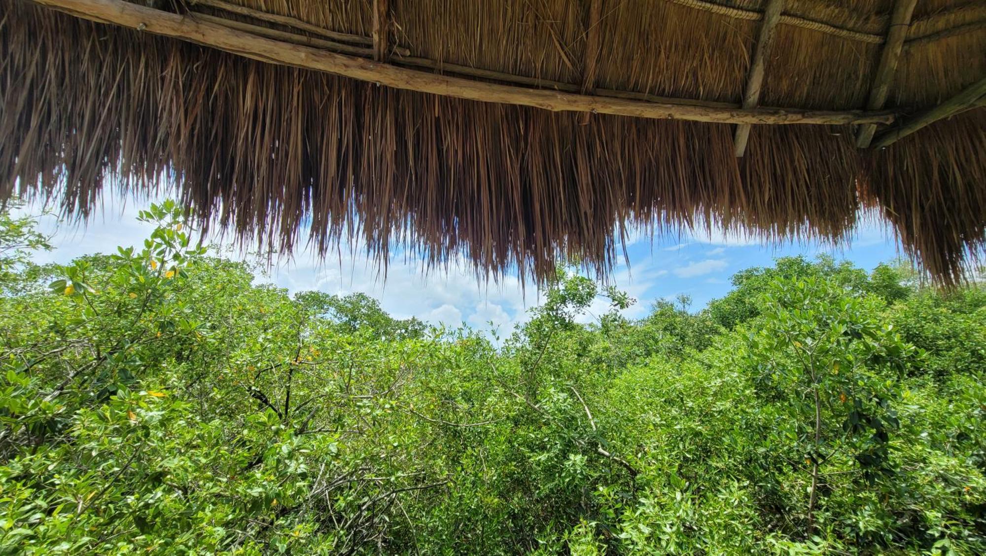 Hotel Cormoran Tulum & Cenote Eksteriør billede